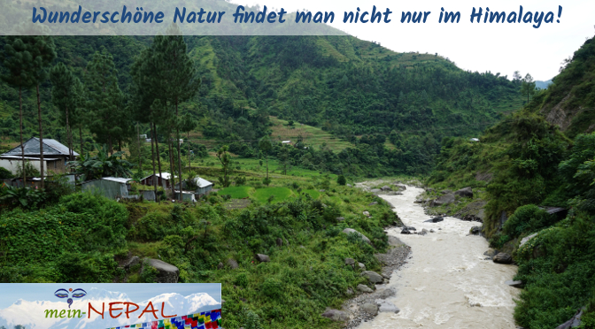 Im Mittelgebirge Nepals leuchtet während des Monsuns alles in verschiedenen Grüntönen.